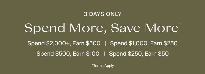 Spend $2000+, Earn $500. Spend $1000, Earn $250. Spend $500, Earn $100. Spend $250, Earn $50. Terms Apply*